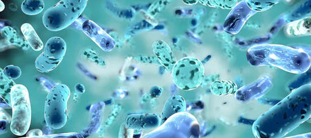 Probiotics: One Of The Best Ways To Prevent UTIs Naturally