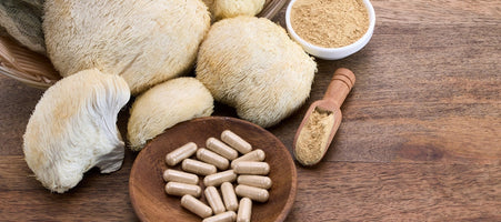 Lion's mane mushroom capsules and powder alongside fresh Hericium erinaceus mushrooms used for memory and brain function support
