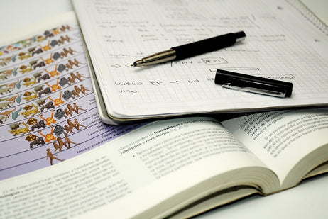 Best Supplements for Focus, Memory, and Brain Health