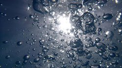 What Is Oxidative Damage? And How to Fight Back
