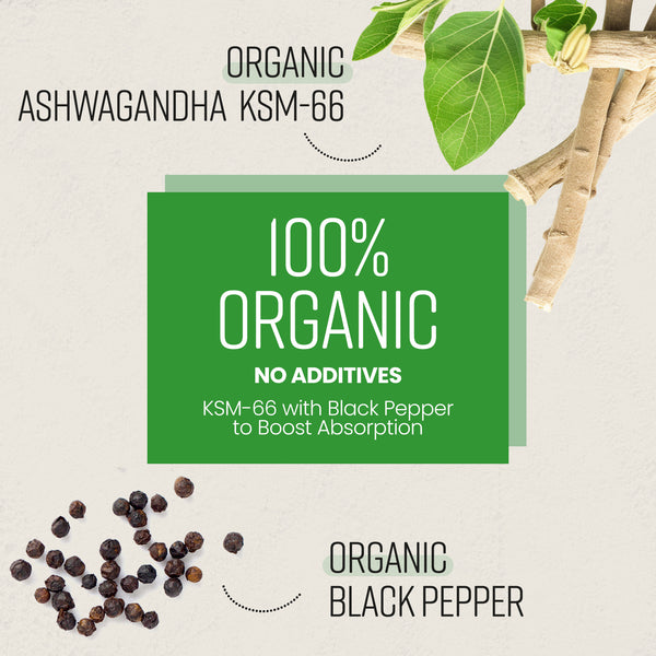 Ashwagandha Tablets Organic KSM-66