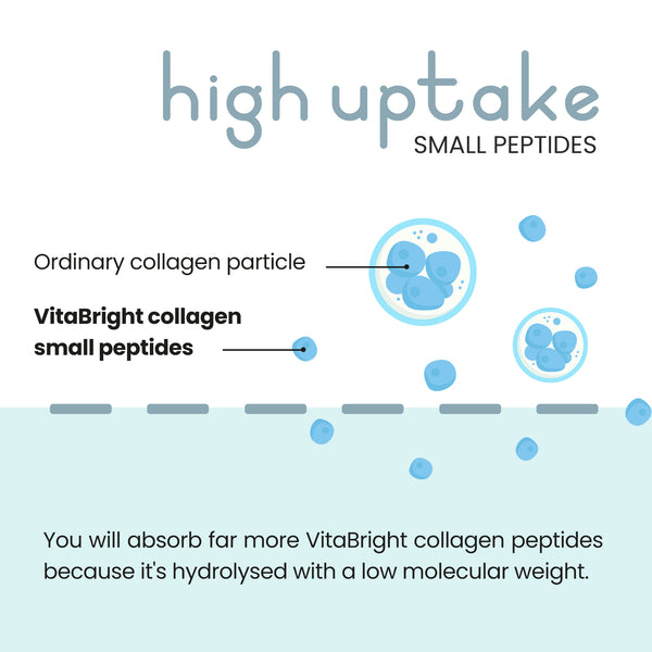VitaBright Bovine Collagen Absorption _en